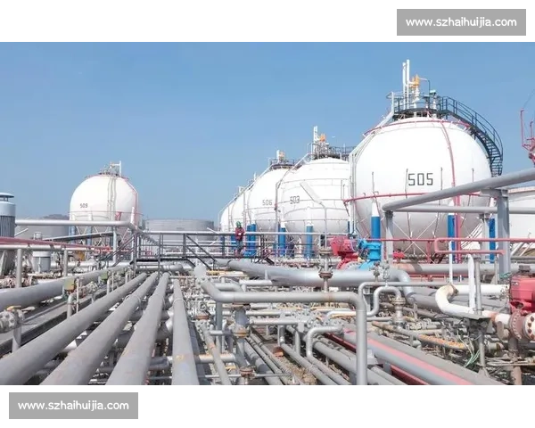 成都vs沈阳 城市实力与发展潜力的正面较量全景解析观察深度